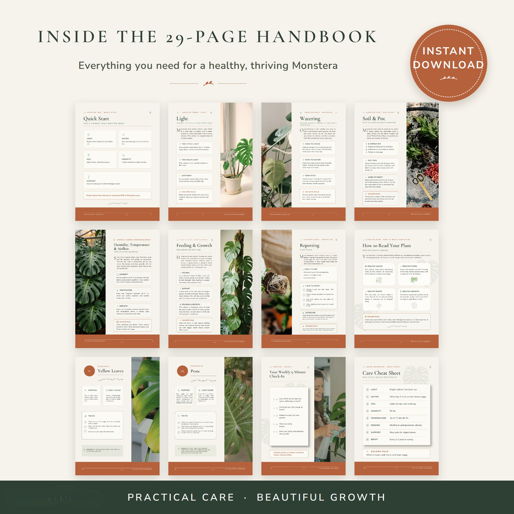 The Monstera System
