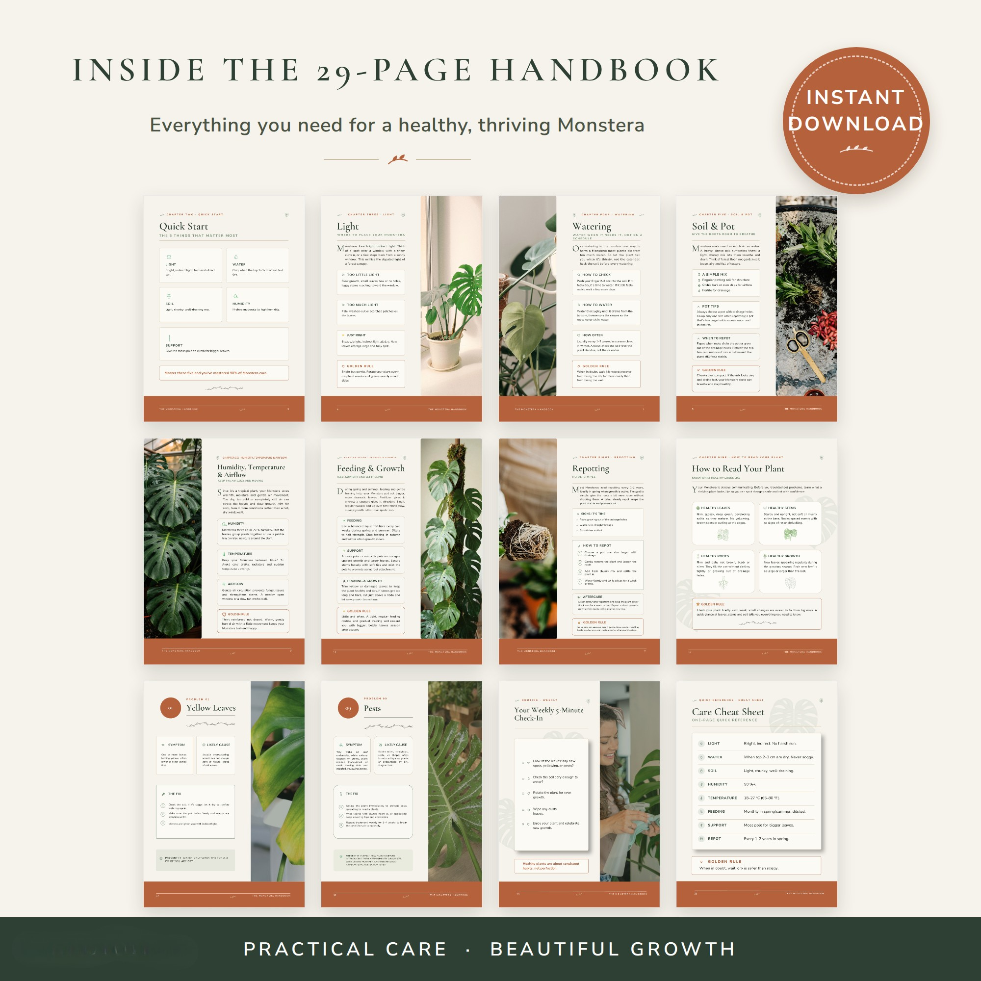 The Monstera System