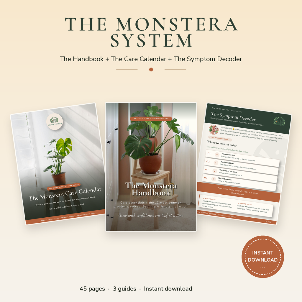 The Monstera System